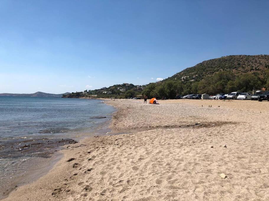Villa Marilena Lagonisi Καλύβια Θορικού Εξωτερικό φωτογραφία